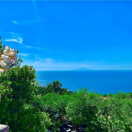 Apartment Amore Rentals - Casa Tatano