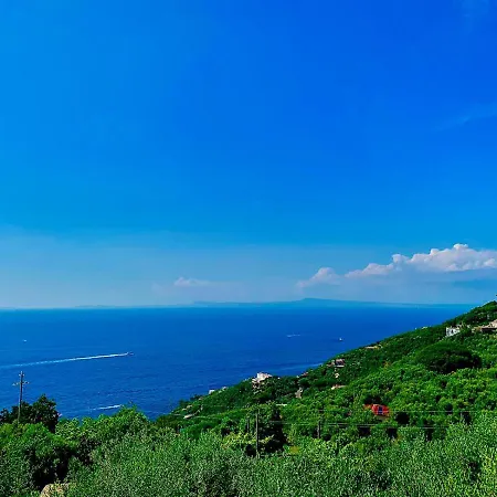 Amore Rentals - Casa Tatano Apartment Marciano